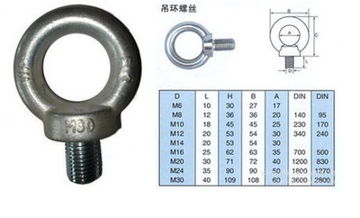 不銹鋼316吊環(huán)螺栓